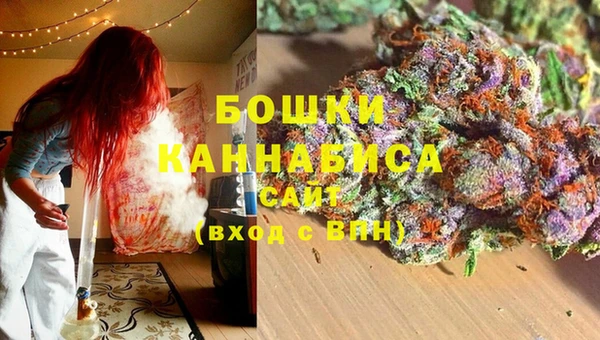 сатива Балахна