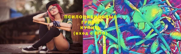 сатива Балахна