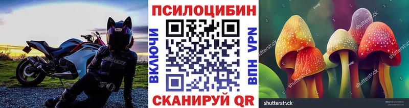 Псилоцибиновые грибы GOLDEN TEACHER Бирск