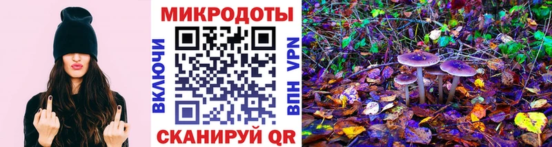 Галлюциногенные грибы Psilocybine cubensis  Бирск 